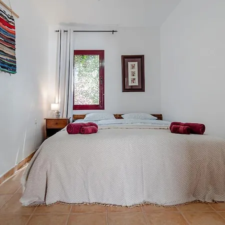Casa Kiky, Boho-chic With Botanical Garden 别墅 拉·奥利瓦